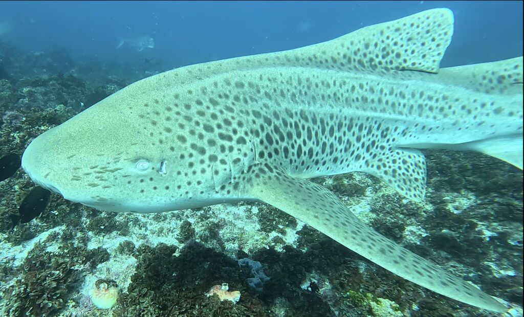 137f606e-4b5f-486a-bd64-57c123569d95