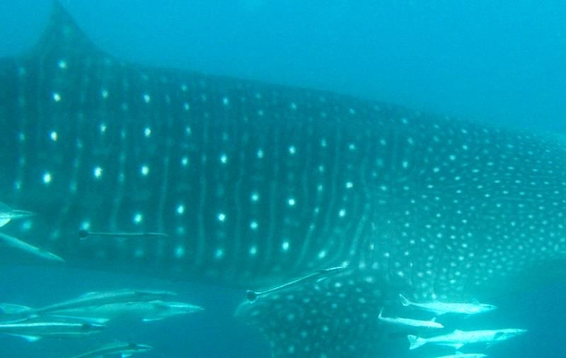 6a20c94e-e82f-4716-b67d-518964ba8319