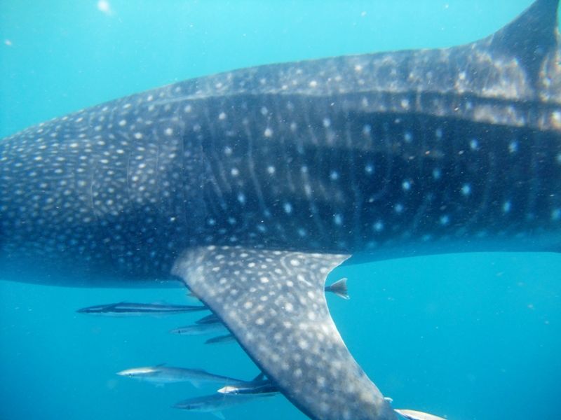 6a20c94e-e82f-4716-b67d-518964ba8319