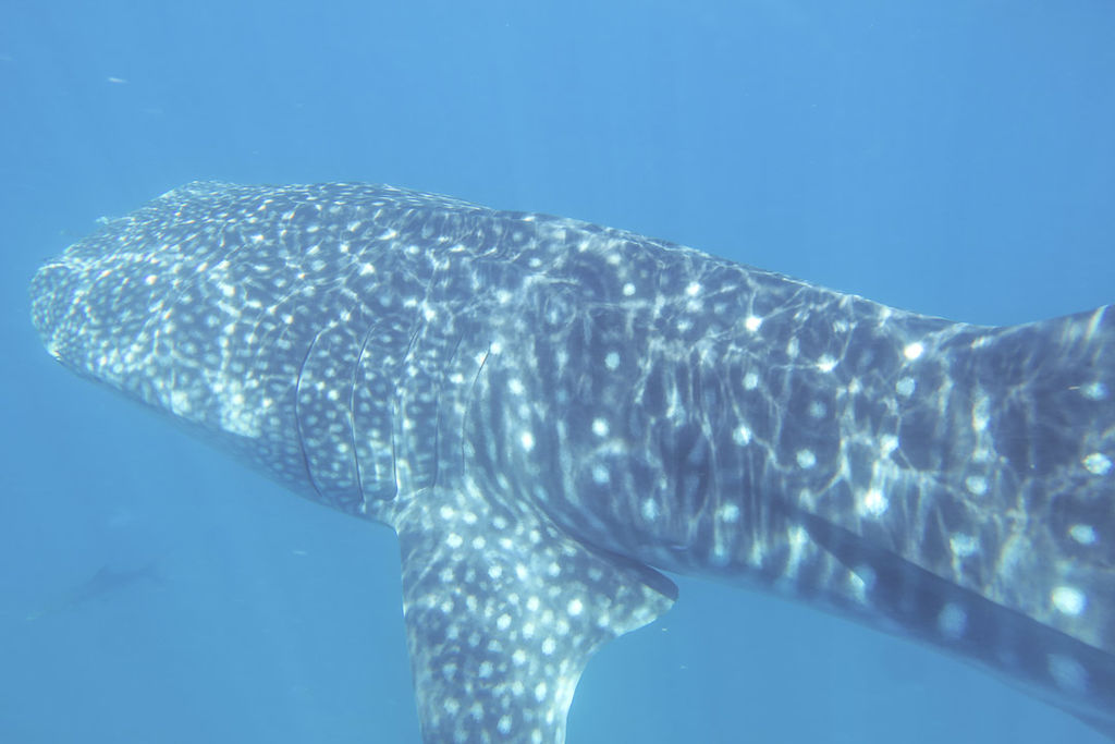 8df36d08-7fac-47dd-b0cf-9c41f2b49b8f