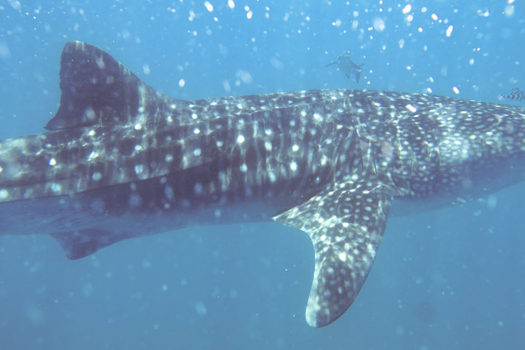 8df36d08-7fac-47dd-b0cf-9c41f2b49b8f