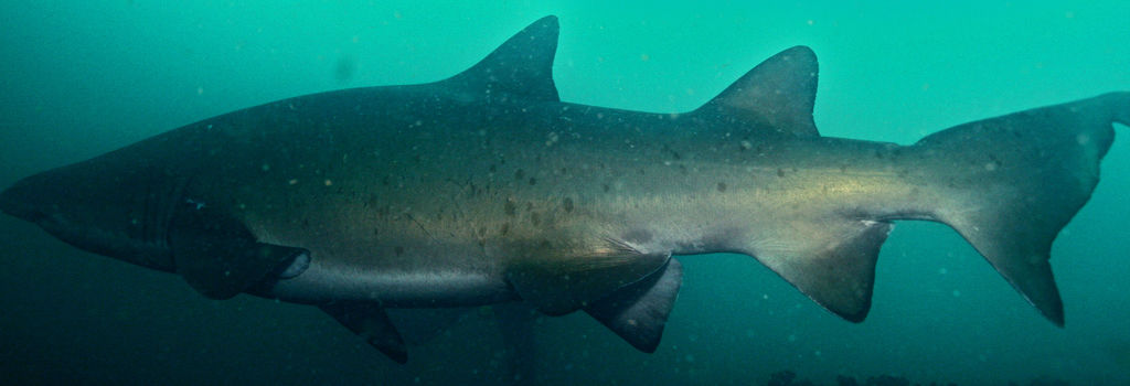 003ce9c4-cab1-4f0f-ba16-46c4405a7f73