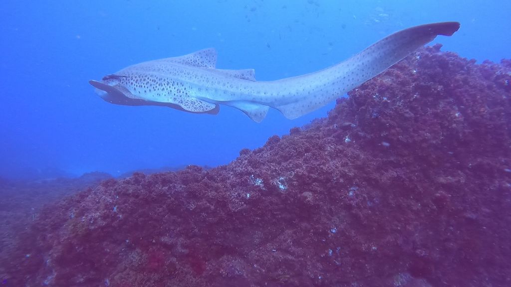 f6483acc-1f26-4608-80ae-9cc8a54744e9