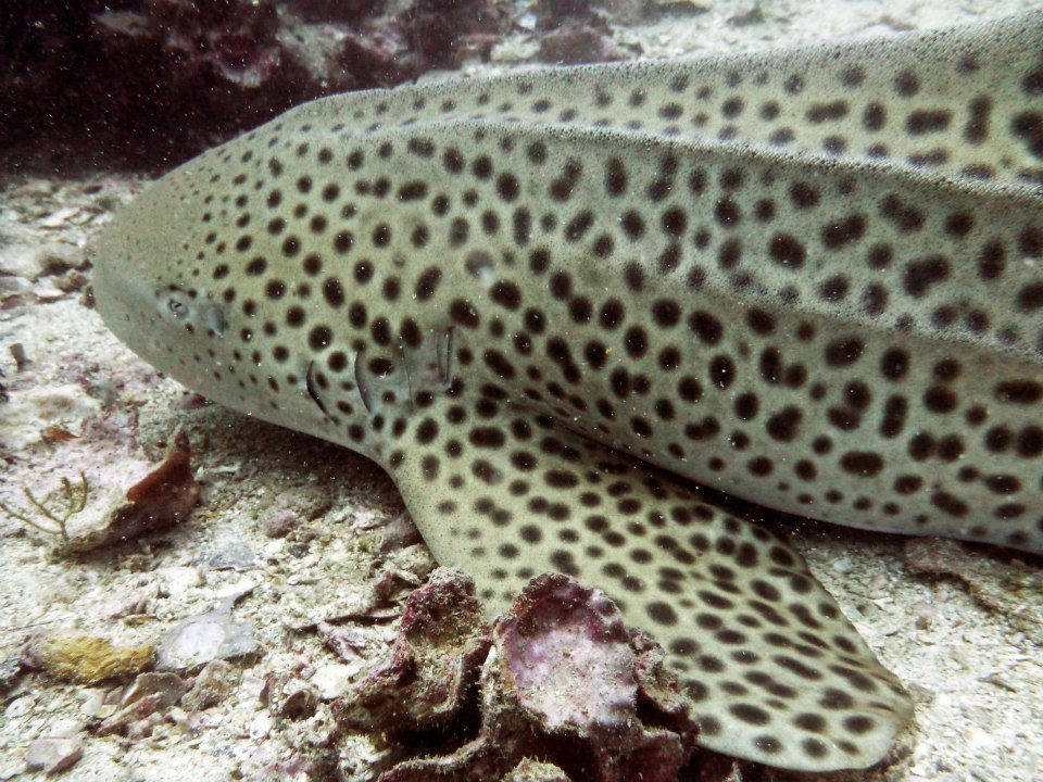 52a0381f-5a25-41f0-97e1-a029631281b7