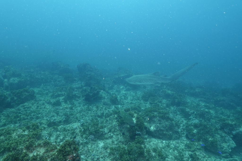 ecfd73b2-6955-486a-be16-7c52a573ae9f