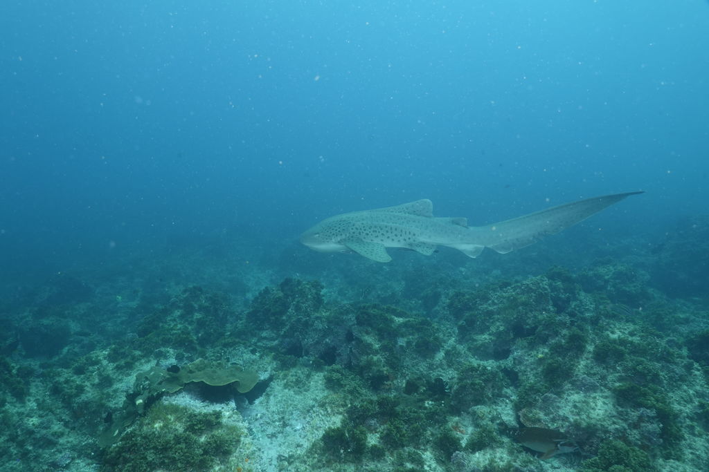 ecfd73b2-6955-486a-be16-7c52a573ae9f