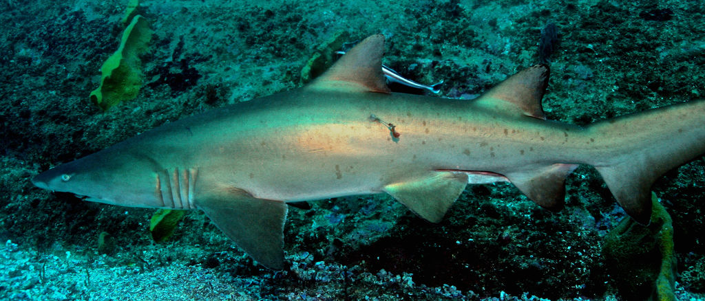 5795ba2b-9065-4420-849b-e67846a6b36c