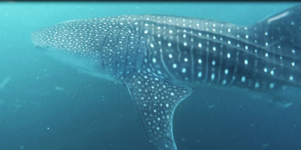 5f757632-34ea-4738-a6a9-1db7cb4c8620