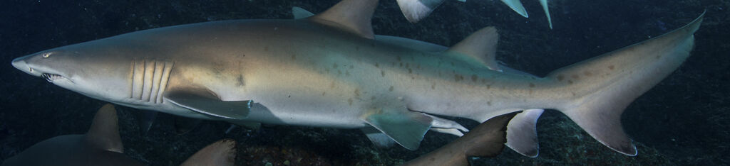 39ca857f-aef1-46a7-8cf5-63ac92020fb1