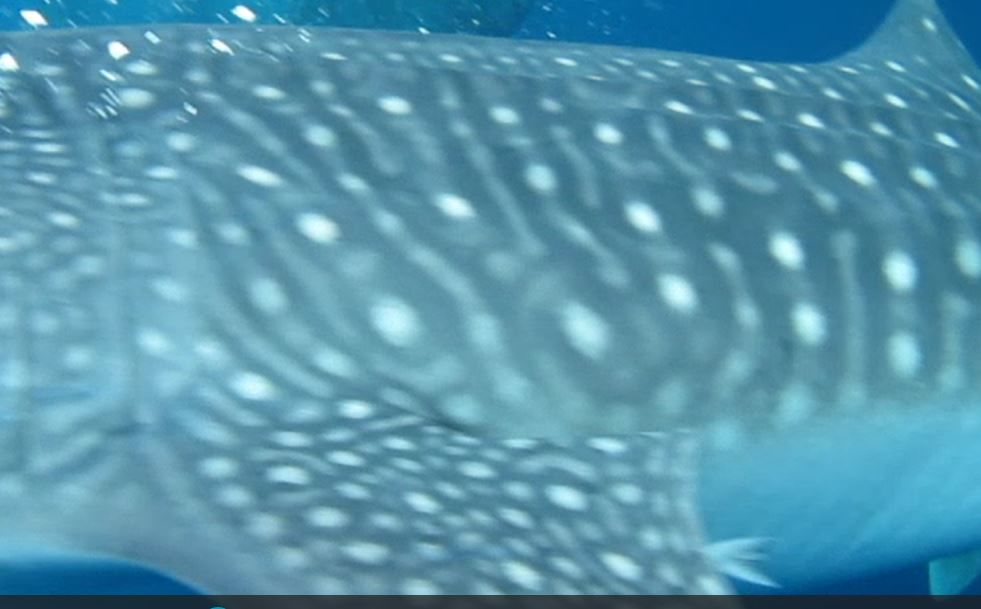 b3ad04ad-bc6c-42f5-87af-9d99afac15ac