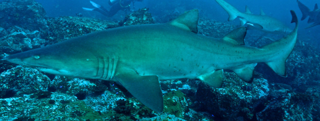 8ab6133b-4a50-4e89-857d-19881c48b5ce