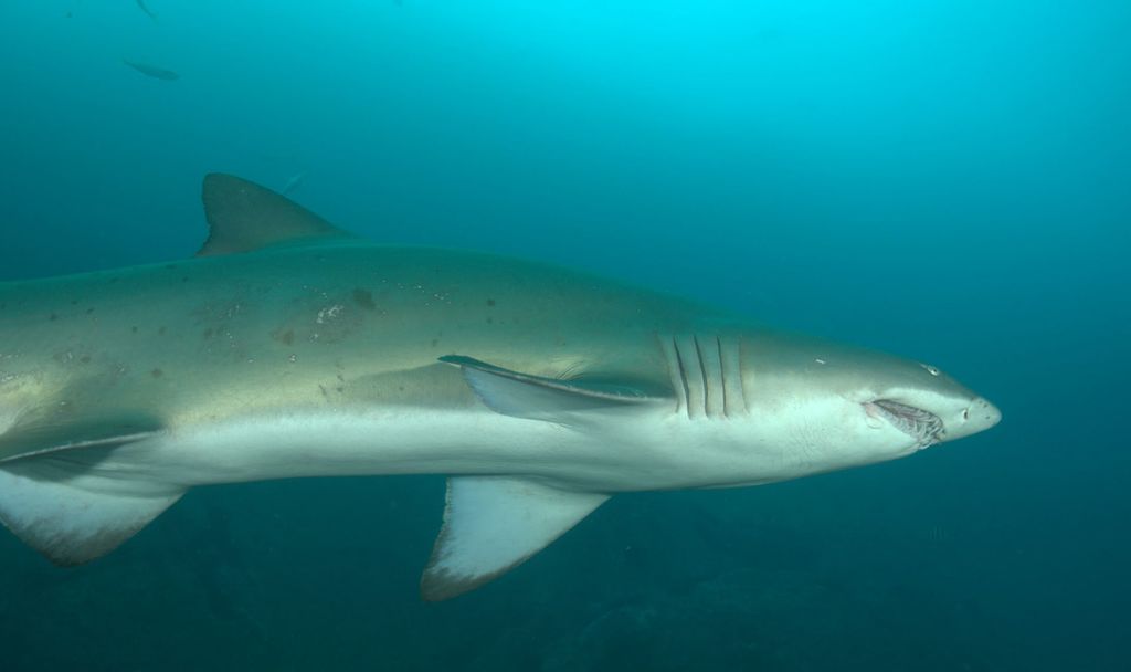 7ae87505-cb87-4441-aaa5-8647bc654198