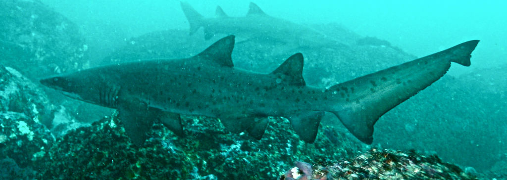 55fa5853-6887-4d62-9ef3-8568e96b41e7