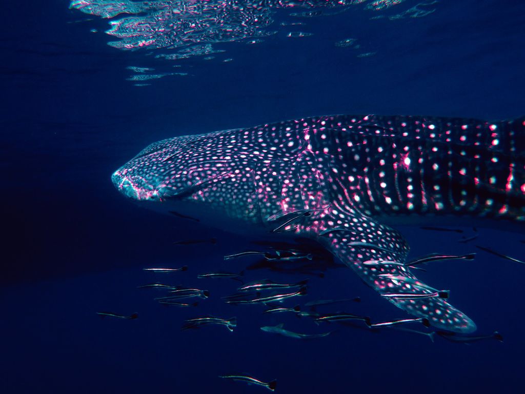 a8799feb-63ea-4840-93e4-eab112974e1c