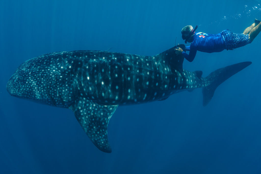 bdf3e6a6-0a80-48fe-8cf3-42f06725d8d8