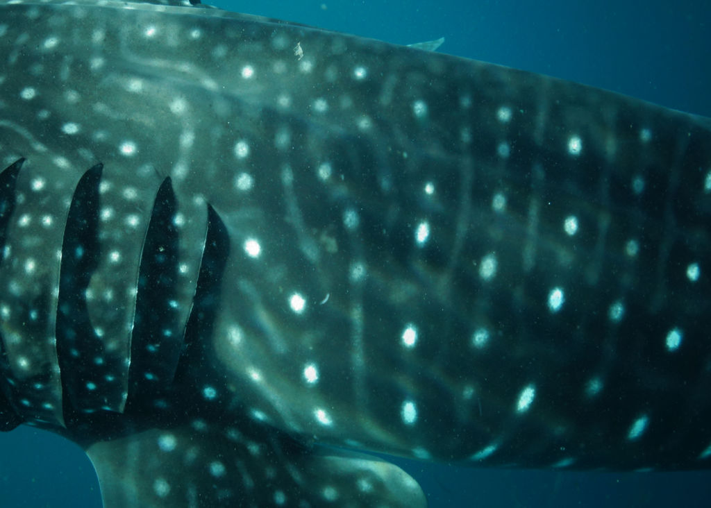 10628ee9-9d9c-404f-ae19-c23c39e88a0e