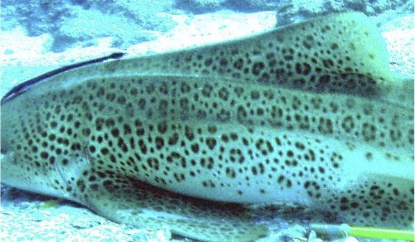 7f80484b-af30-44af-99ce-092167bec4b7