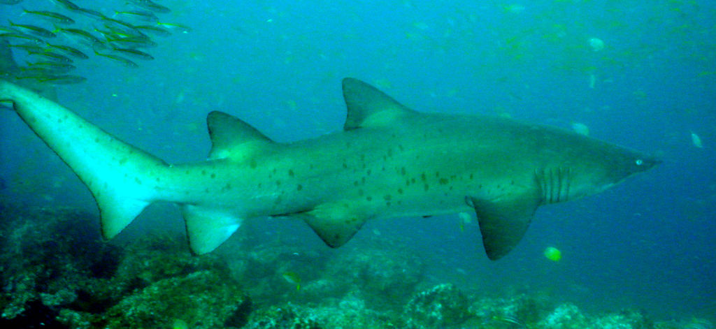 c577eb15-0da9-4e83-95d8-69cf112994c9