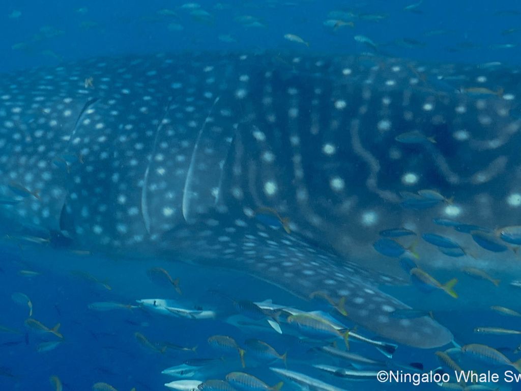 99831d4d-bfb9-48e5-93b9-a430d5703efd