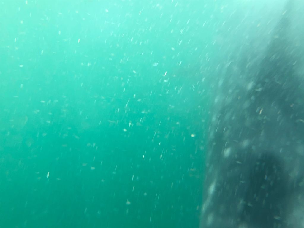 12e46853-4188-4dd8-854f-34e69fabb8ca