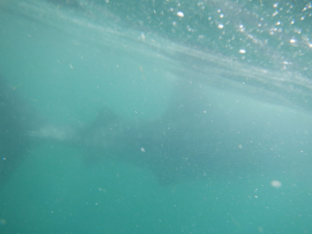 12e46853-4188-4dd8-854f-34e69fabb8ca