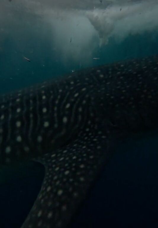 b5bfd4f6-32a5-462c-b7de-54fd987263cd