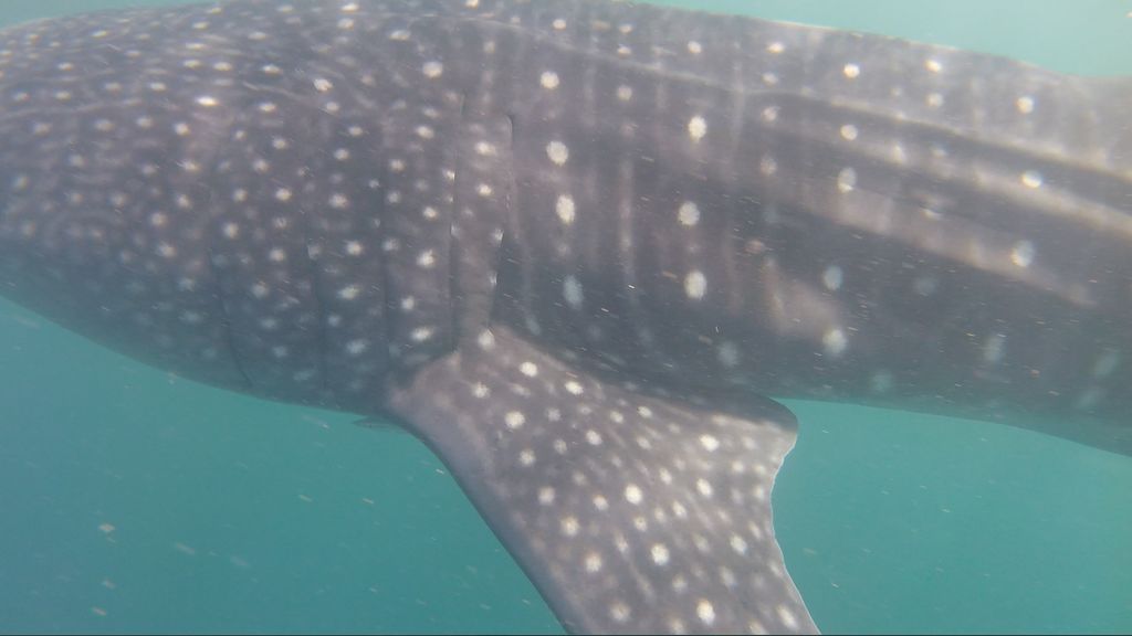 463faa3a-b9bb-4915-8bcf-d8990cbe099d