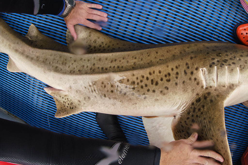 d5116b24-29e5-4177-9e21-6c71c19ddfee