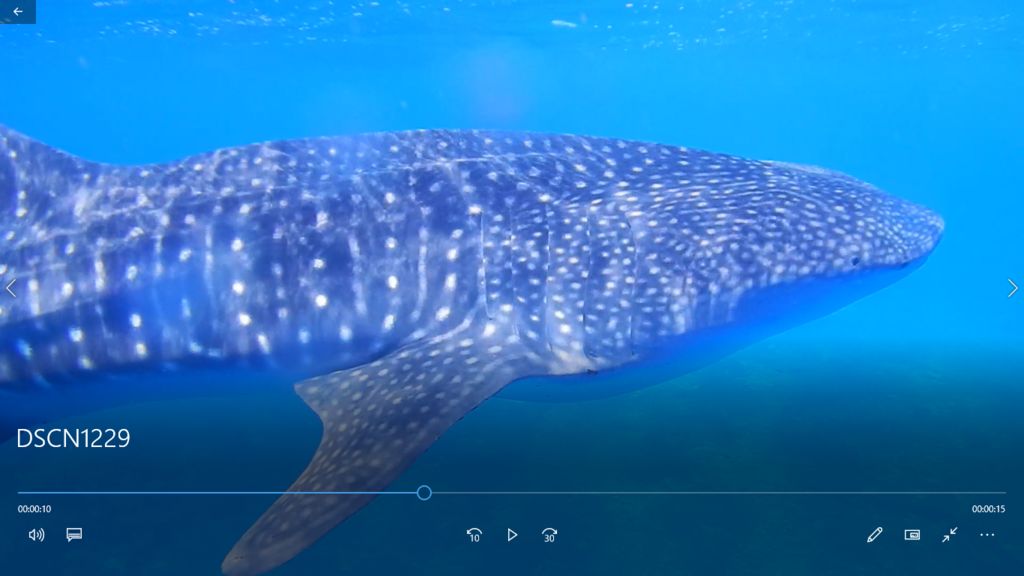 4740d5af-db71-48d1-bc33-91d899cbf55c