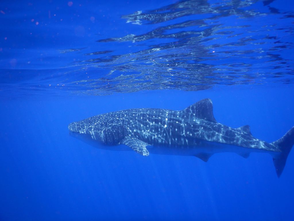 6f0b8fc5-7636-42bc-a2a2-536abea7bc8c