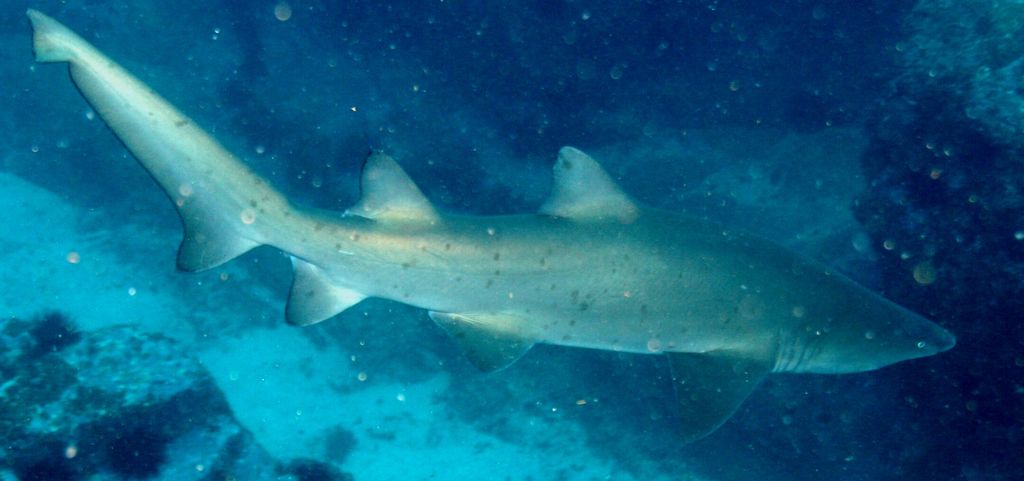 a9b94e28-f1c7-4eff-8c6f-2c83131919f7