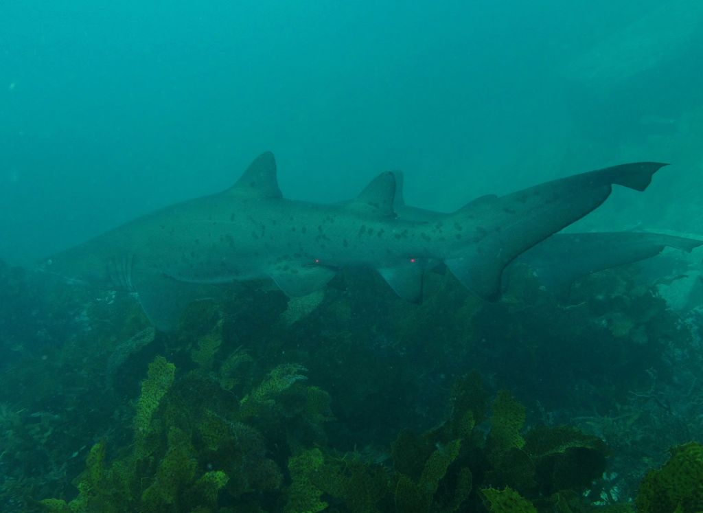 8c93a73f-d66d-4800-aa9b-68e86d1e39b3