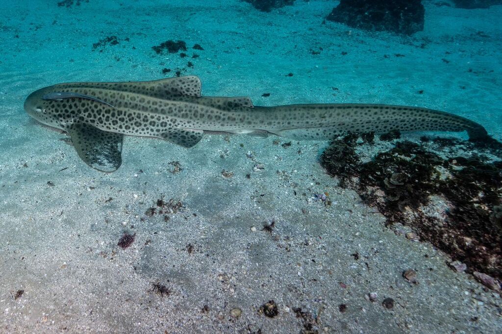 00c40953-f563-451c-8399-b78803129414