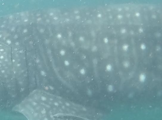 7ebd2f85-3f8d-4a56-9e8b-3882b7fc6764