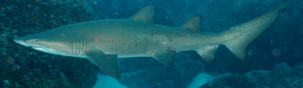 be7af0e0-9358-4168-9230-979c8df5832f