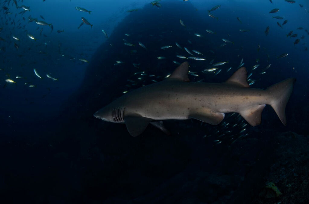 95300620-0c89-40c7-8097-48cbf169acad