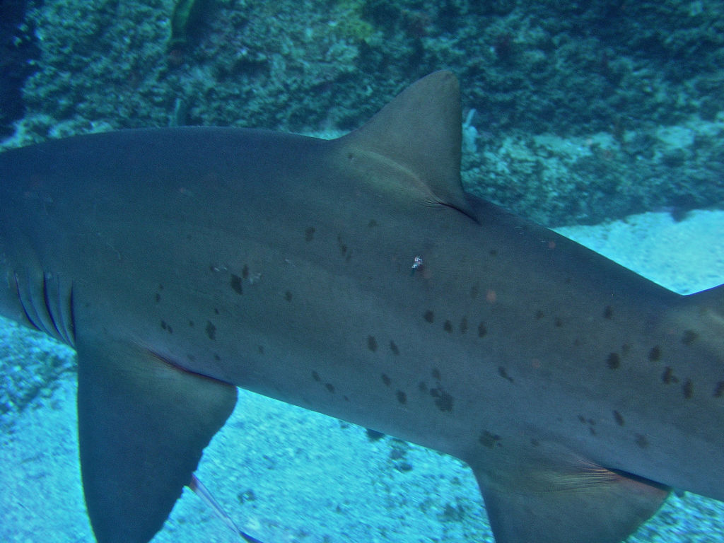 60662fdd-b071-4ec4-b585-8af0fac15576