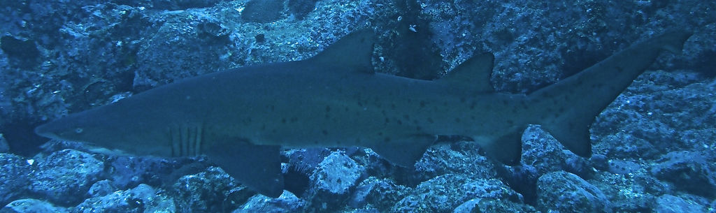 094d10fb-ebad-4b51-802f-fc0c1ef1149e