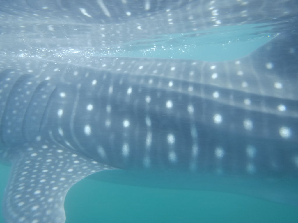 0c2d18bd-89d3-4a5a-b352-61d6013298a9