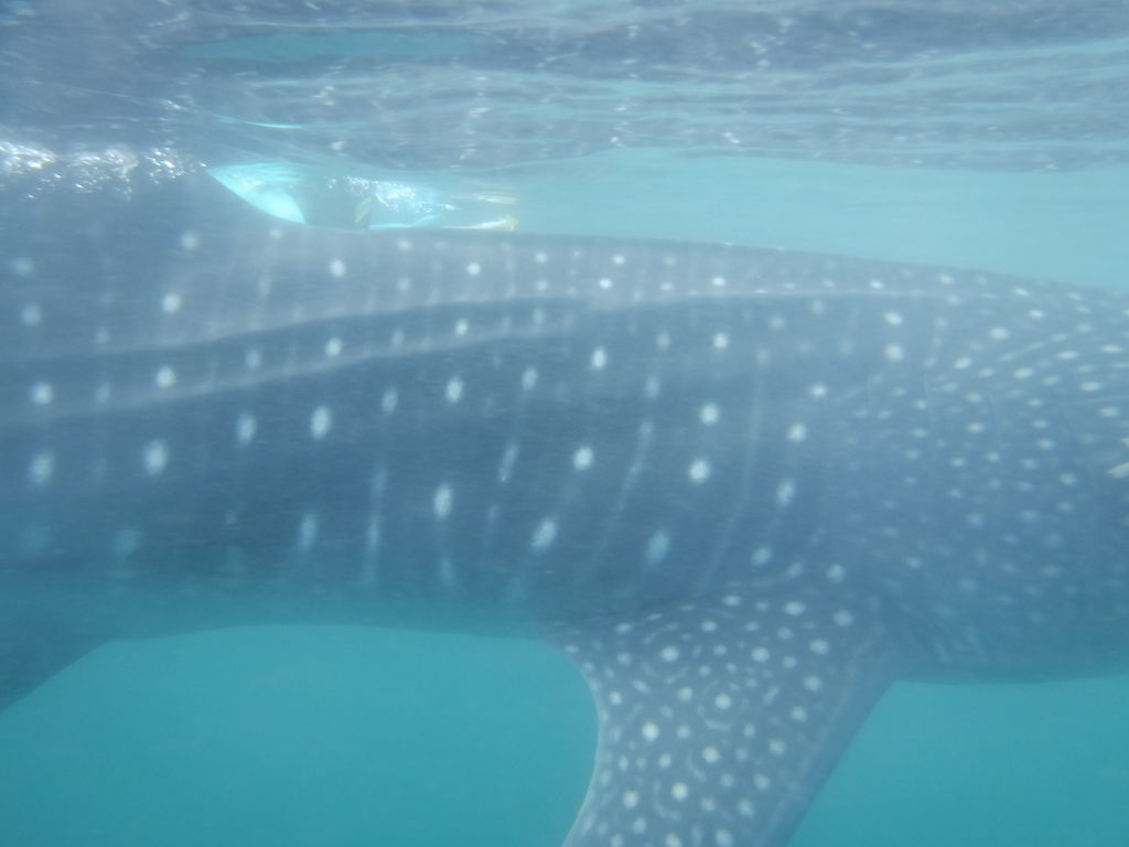 0c2d18bd-89d3-4a5a-b352-61d6013298a9