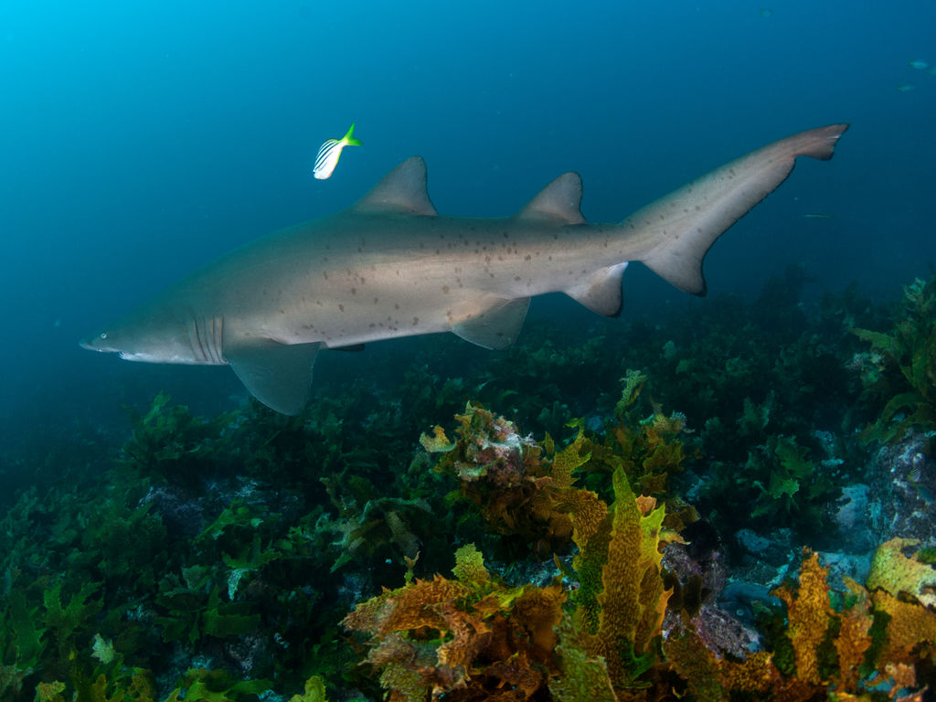 105642f2-2477-41dd-ad4c-fba165722d57