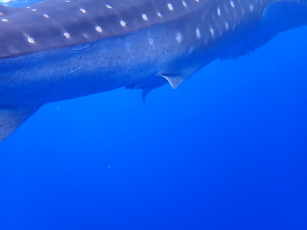 a76461a3-dde3-4140-89f1-bd81deb32920