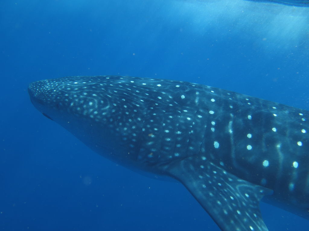 59fcdc48-9dfb-4b85-b198-001499d3d6e1