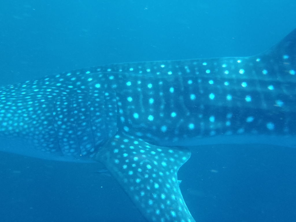 d14e096d-4be0-4a4f-a8d0-ee6015ba8f9f