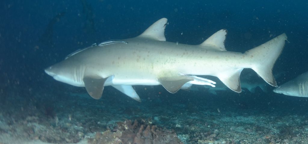 b2e73f33-0dd4-4ee8-a251-0b2034368410