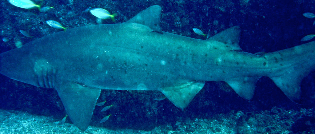 ffde7957-3eeb-48bb-b5bd-205e9c7a52ba