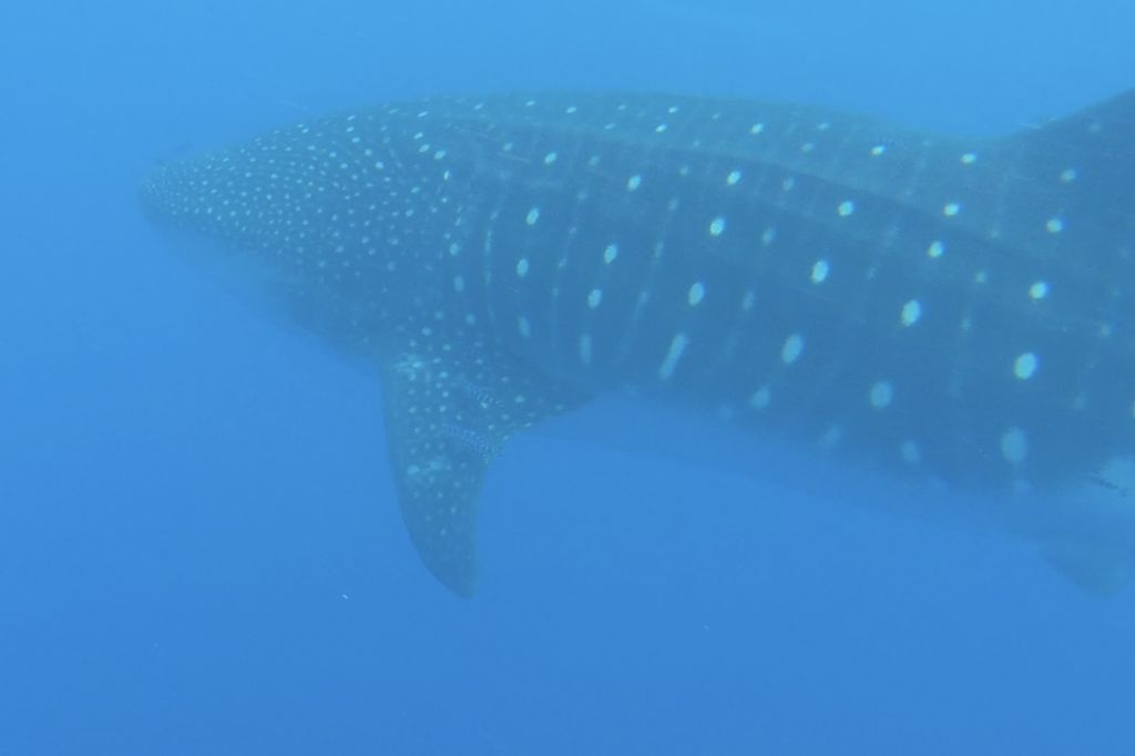 3f33a17f-ba65-44ac-a850-67cf78cfe59c