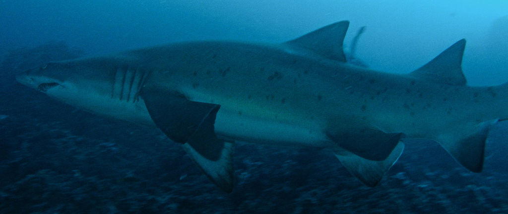 6dbf23d6-5bcf-423a-8a99-62699e31109e