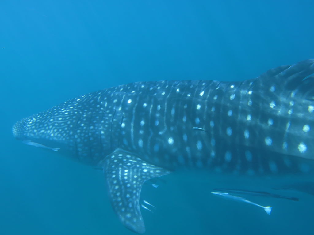 63bc75fd-75e8-430b-9ef7-9ff5a3fe0777