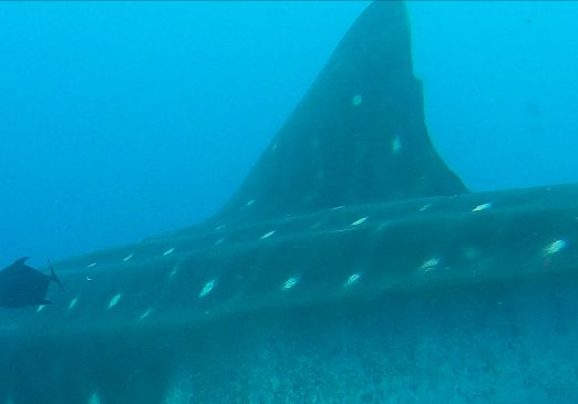 c03412aa-0f33-47ac-b75b-821081b2fa3e